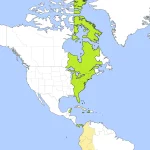 Eastern Standard Time Zone Map