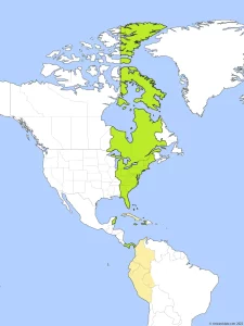 Eastern Standard Time (EST) Map